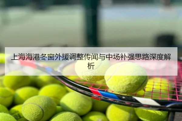 上海海港冬窗外援调整传闻与中场补强思路深度解析